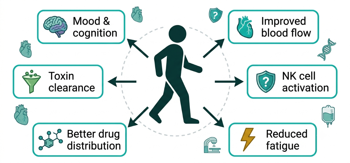 Figure 7.1 · The documented biological effects of exercise during chemotherapy
